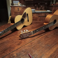 Riparazione e costruzione chitarre