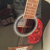 Chitarra Stealton 12 corde amplificata perfetta