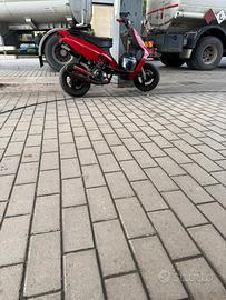 PHANTOM F12 (70cc)