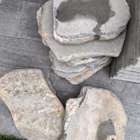 Passi giapponesi (pietre da camminamento) 