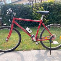 Mountain bike ragazzo