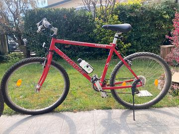 Mountain bike ragazzo