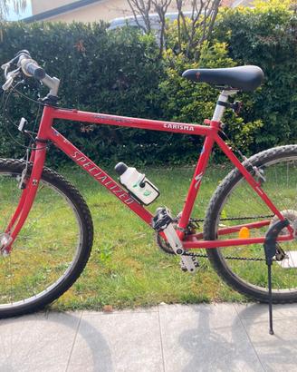 Mountain bike ragazzo