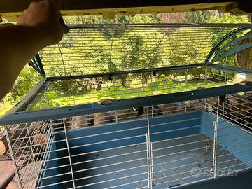 Gabbia per conigli