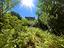 Immagine 21