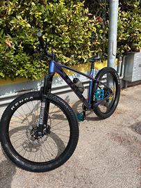 Trek roscoe 6
