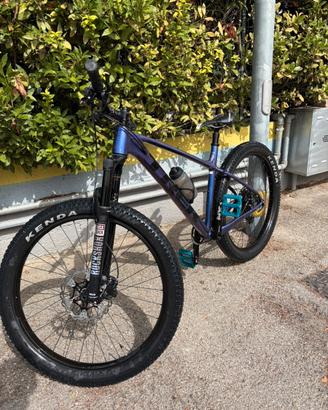 Trek roscoe 6