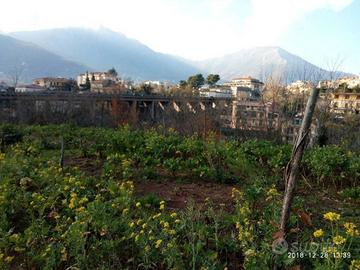 Terreno agricolo