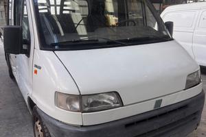 Ducato doppia cabina