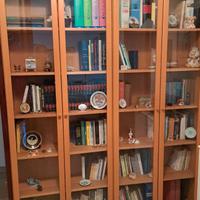 Librerie Billy con ante a vetro