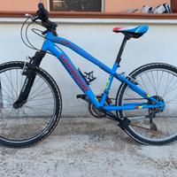 Mountain bike, prezzo trattabile