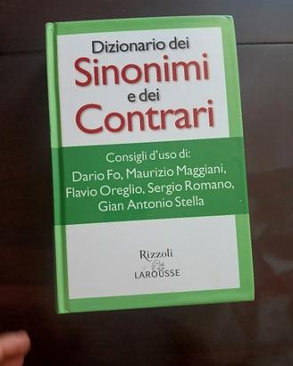 dizionario 