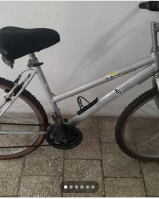 Mountain bike