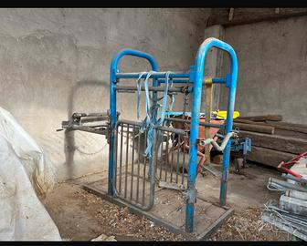 Gabbia di trattamento