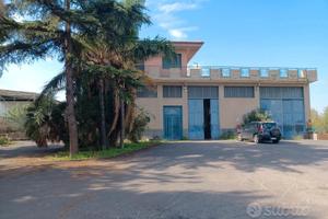 Capannone mq 800 con piazzale da mq 4000