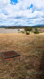 terreno agricolo 