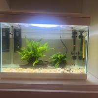 Acquario 30 litri completo