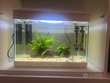 Acquario 30 litri completo