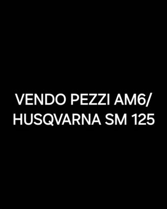 pezzi am6/husqvarna sm 125