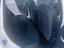 Immagine 14