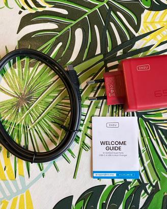 Caricabatterie rapido INIU 65W Rosso Nuovo