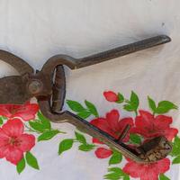 ANTICHE CESOIE grandi FORBICI FORBICIONI potatura