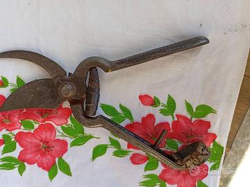 ANTICHE CESOIE grandi FORBICI FORBICIONI potatura