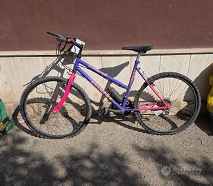 bicicletta Mountain bike