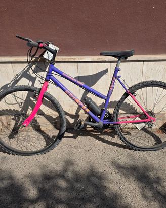 bicicletta Mountain bike
