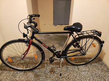 Bici da città/trekking Epple Telaio Mannesmann