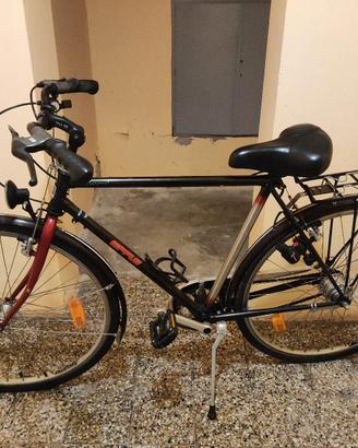Bici da città/trekking Epple Telaio Mannesmann