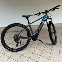 Bulls bici mtb