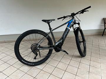 Bulls bici mtb