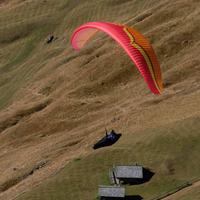 OZONE Alpina 3 ML