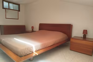 Monovano/loft
