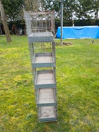 Gabbie per uccellini 