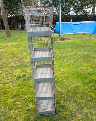 Gabbie per uccellini 