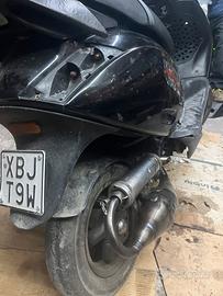 Marmitta malossi piaggio team 1