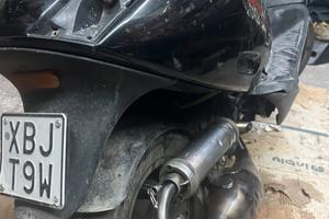 Marmitta malossi piaggio team 1