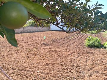 Tricase - Terreno edificabile