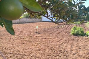 Tricase - Terreno edificabile