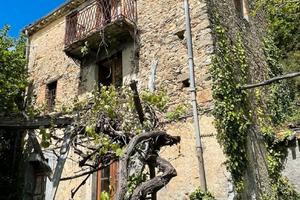 RGE 12/2024 Trib Patti