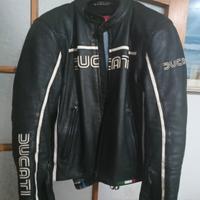 ducati taglia 50