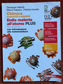 Biennio superiori - chimica - concetti e modelli