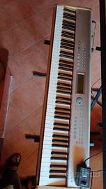 korg sp 500 piano (tasti pesati)