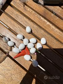 Uova gould Giappone canarini cardellini