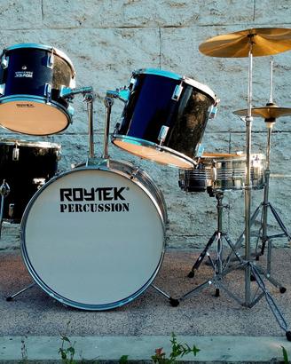 Batteria Roytek