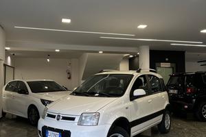 Fiat Panda 1.3 MJT 16V DPF 4x4 Climbing