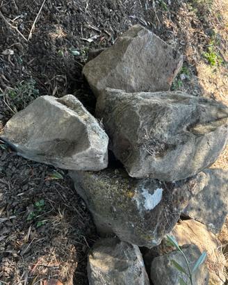 Pietre per giardino