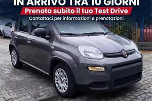 Fiat Panda 1.0 Hybrid City Life (2022) - SOLO 13.0